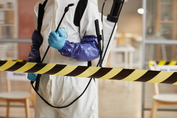 Professional Hoarding Cleanup technician working in Osteen, FL