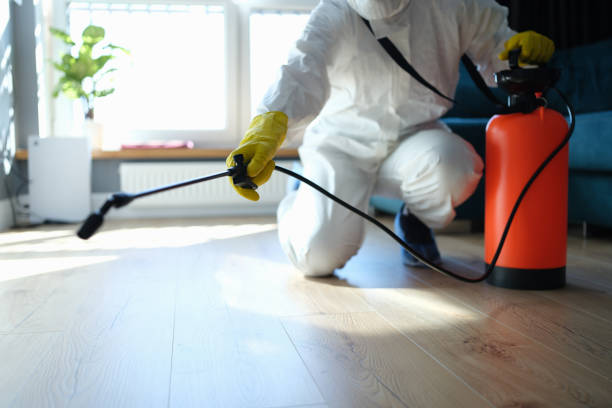 Reliable Hoarding Cleanup contractor in Osteen, FL by Dulley Family Biohazard Services